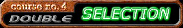 selection_dp